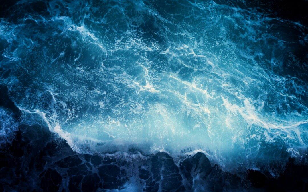 Towards a regenerative way of evaluating coastal and marine infrastructure