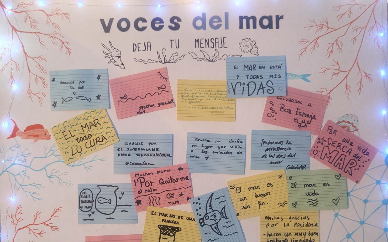White board named "Voices of the sea" with colourful stickers containing messages to the sea writen by children.